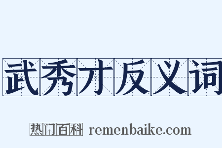 武秀才反义词是什么意思的图片
